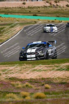 media/Feb-25-2024-Speed Ventures (Sun) [[b9a2a97a4d]]/Mustang Drivers Club/Session 3 (Turn 2)/